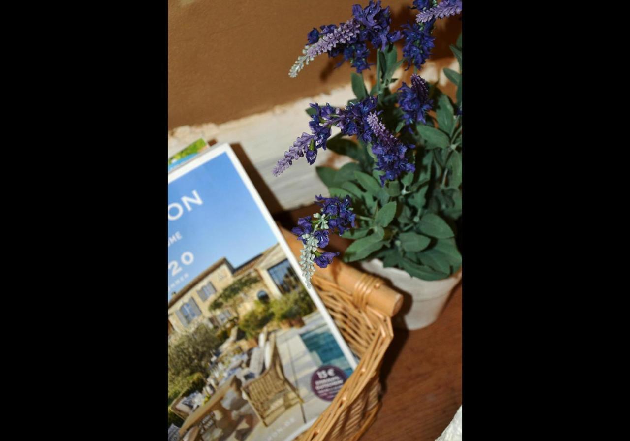 Neu! Ferienwohnung Romantique Radebeul Luaran gambar