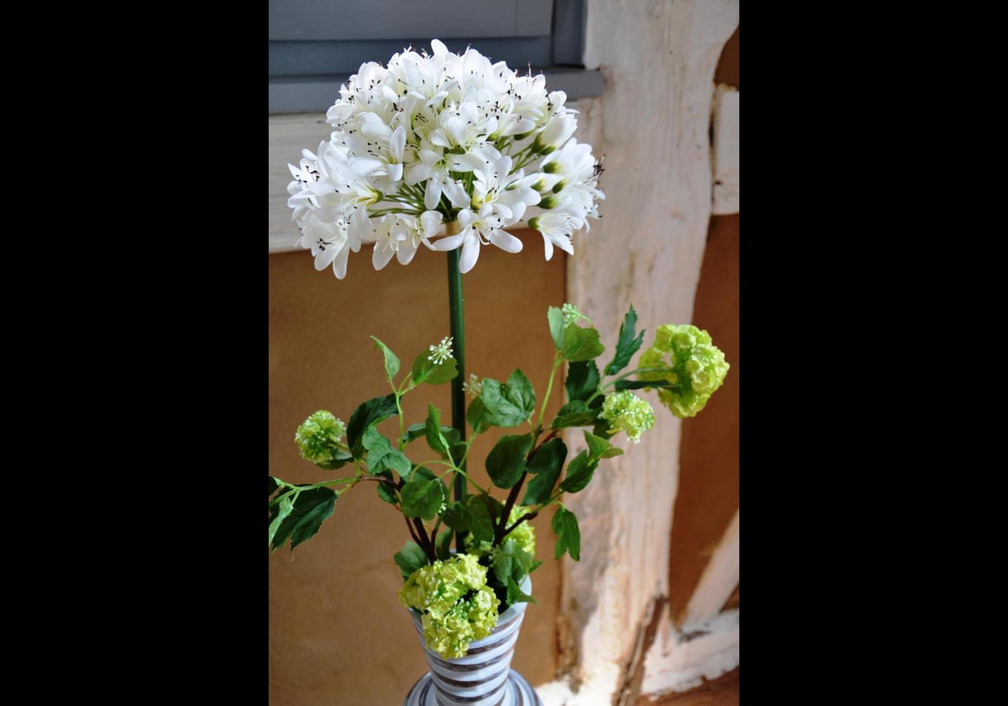 Neu! Ferienwohnung Romantique Radebeul Luaran gambar